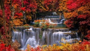 Медитация 300 Гц: Ясность и исцеление 🌿✨