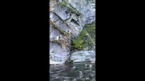 Кия с белогорска