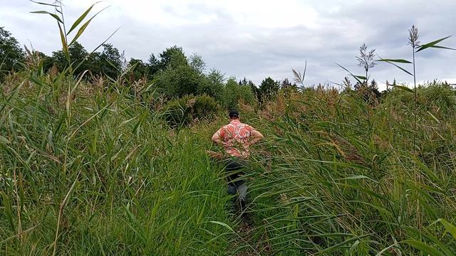 Шаг за шагом