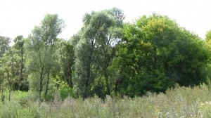 родник гремучий в прохоровском районе жизнь в глубинке белгородской области