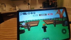 Мой баланс в GROW A GARDEN