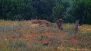 Наблюдение за Сурками! С помощью  прибора Digital D 940 L ARKON