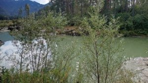 Краски уходящего лета!🌲🪲💐