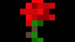 От сердца и почек Вулима дарит вам цветочек, опис