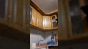 калининград , калининградская обл