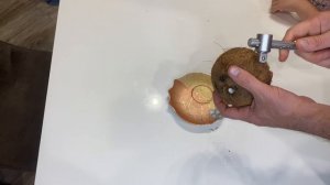 Как легко разделать кокос 🥥