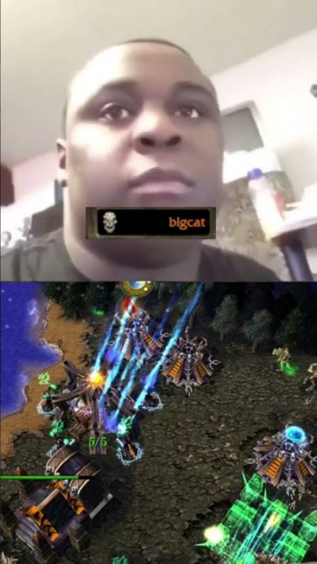 Мёртвый Большой Кот не понимает, что происходит в Warcraft 3 Reforged смотреть онлайн