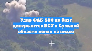 Удар ФАБ-500 по базе диверсантов ВСУ в Сумской области попал на видео