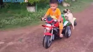 Двое одного не ждут😂