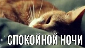 Спокойной ночи и сладких снов. Музыкальная открытка пожелание.