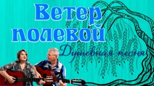 Ветер полевой|Ивушка. Душевная песня. Марсель Давлетов #песниподгитару