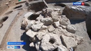 Крымские учёные обнаружили уникальные останки лошади во время раскопок в Ленинском районе