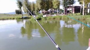 Приехали в Алтай на рыбалку ❤️❗