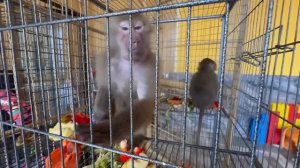 ДОЖДАЛИСЬ! У Анфисы стали расти волосики-КРАСОТКА!!!