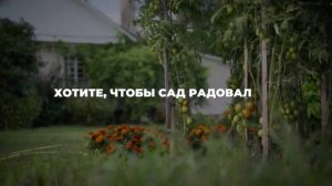 Хотите, чтобы сад радовал глаз, но не превращался в каторгу?