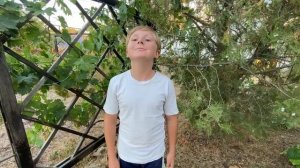 Петр самопробы Алексеев Илья 11