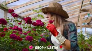 Как красиво посадить цветы во дворе и на участке фото идеи для вдохновения (59)