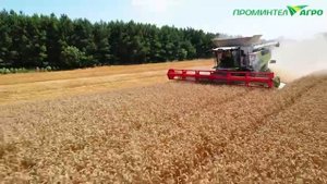 Демонстрация TRION 730 в АПК Продовольственная Программа!