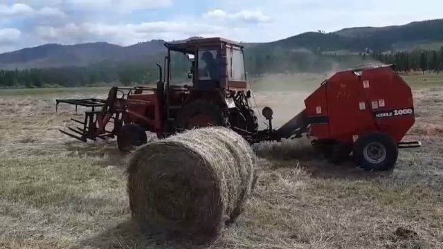 Трактор🚜 Т-25 Прессует сено в рулоны смотреть онлайн