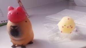 УХАЖИВАЮ ЗА СКВИШАМИ?!