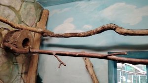 Зоопарк " Лимпопо" ( 21 августа)