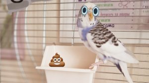 обзор РИККИНОЙ клетки 🐣