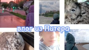Влог из Питера#Санкт-Петербугр#Питер#Влог#Путешествие