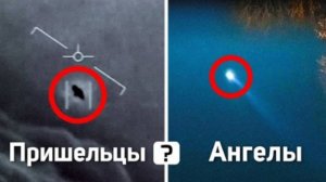 Ангелы существуют - вот неоспоримое доказательство!