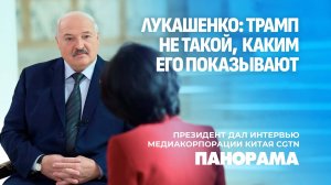 Лукашенко: я не болею "хотелками" организовать переговоры в Минске, но если надо - все сделаем