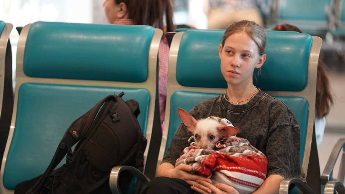 Временные ограничения на полеты ввели в аэропорту Волгограда