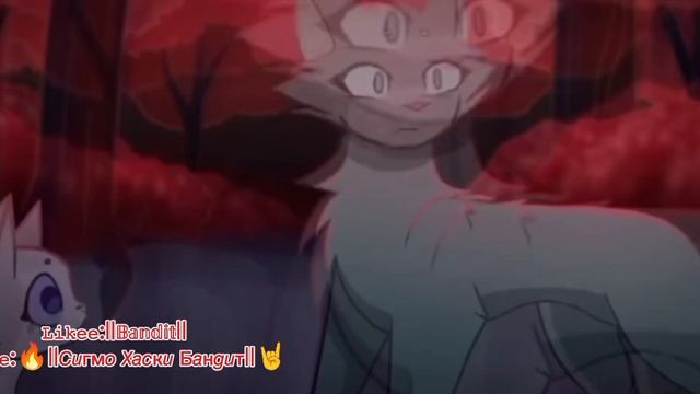 -(🐺🤟)-Призываю квшников на канал 𝒽ⁿ 2