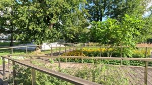 ВДНХ | Москва | куда сходить в Москве | прогулка по Москве