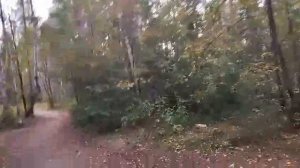 23-08-2025 По лесной тропинке к озеру