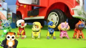 ЩЕНЯЧИЙ ПАТРУЛЬ МУЛЬТИК КРУТАЯ КОЛЛЕКЦИЯ ИГРУШЕК