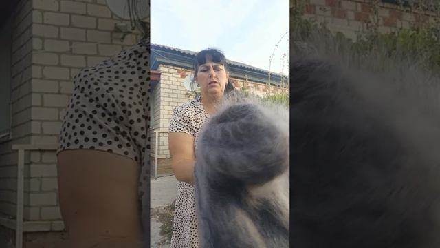 1000190331.mp4 Пуховые изделия у Ольги.т.89020931602 смотреть онлайн