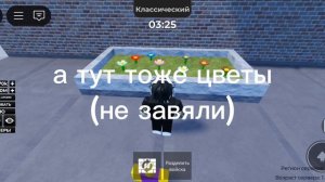 обзор на базу