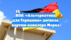 Bild: «Альтернатива для Германии» догнала партию канцлера Мерца