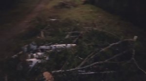 🎬 продолжение истории про вандалов. Вредители природы. 11 августа 2025 года