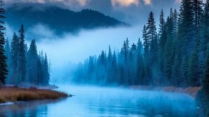 За синими туманами - Наталья Бучинская