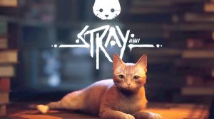 Приключения рыжего котика в стране роботов: Игра Stray
