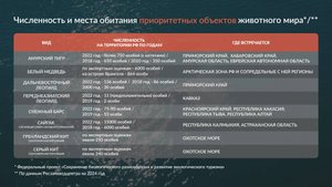 Создание инфографики для документального фильма
