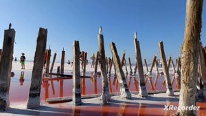 Розовое озеро Сасык-Сиваш