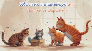 Лапки-царапки   Top Junior