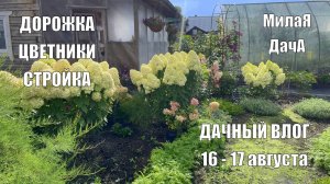 Садово-огородные дела | Новости про заброшку напротив | Дачный влог 16 - 17 августа