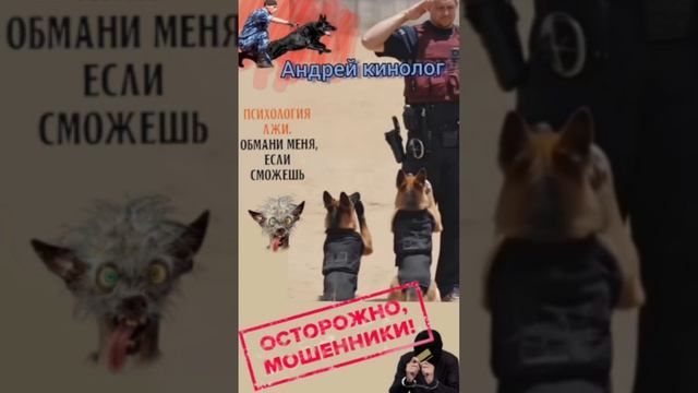 Собрание нечисти 404