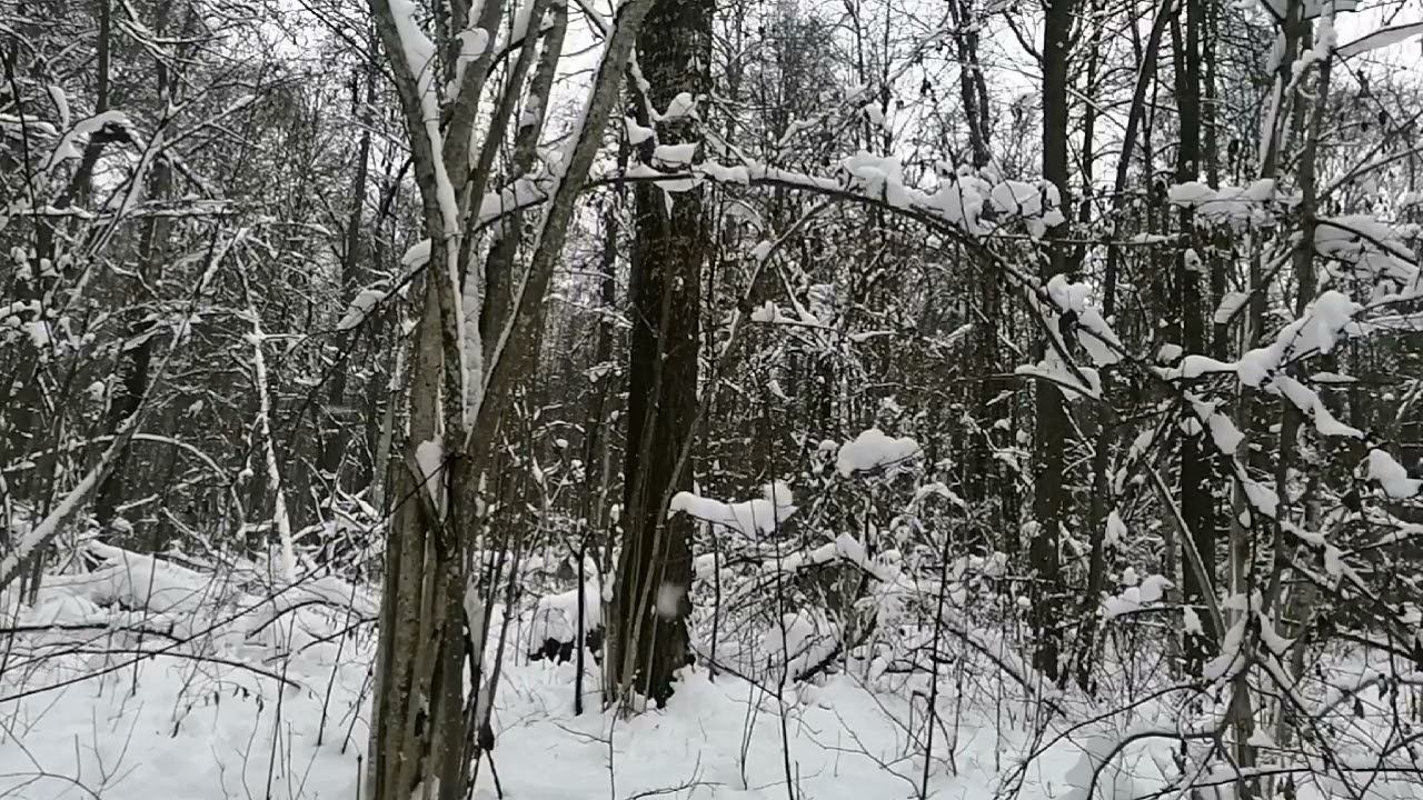 10 декабря 2023 г. смотреть онлайн