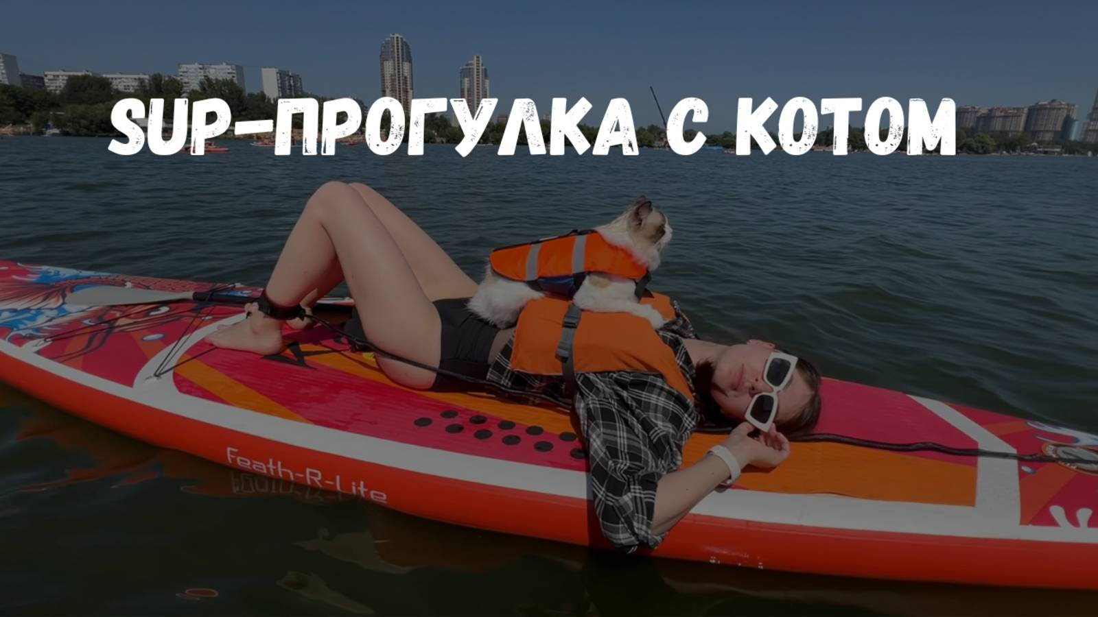 Летний влог: прогулка на сапах с котом #рэгдолл #сапы #отдыхнаводе #смешныеживотные #летнийвлог