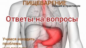 ОТВЕТЫ на ВОПРОСЫ. ЖКТ, больше чем пищеварение.