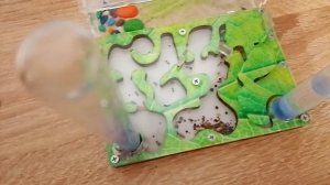 Муравьиная ферма