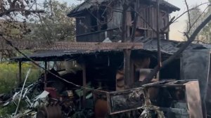 В Московской области двое детей погибли при пожаре в СНТ